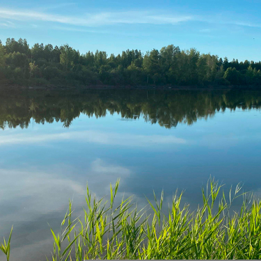 EPM-NovEP released 1,800 nelma fry into the Ob tributary