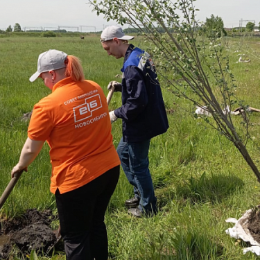 EL 6 NOVOSIBIRSK PLANTS 150 PYRAMIDAL POPLARS AT EVSINO STATION